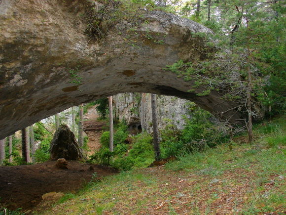 arc-copage
